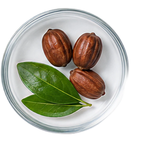 SHEA BUTTER